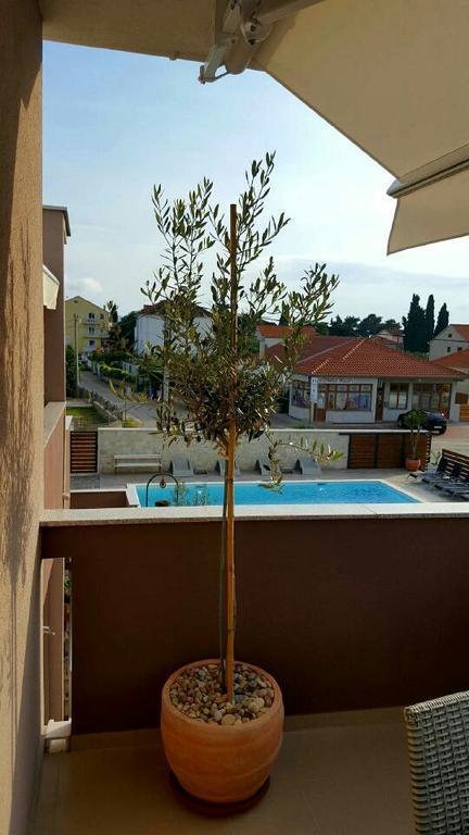 Antonija Apartments With Pool Biograd Na Moru Exterior photo